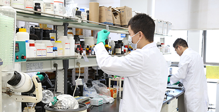 环亚集团·AG88(中国游)官方旗舰网站