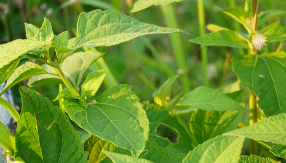 环亚集团·AG88(中国游)官方旗舰网站